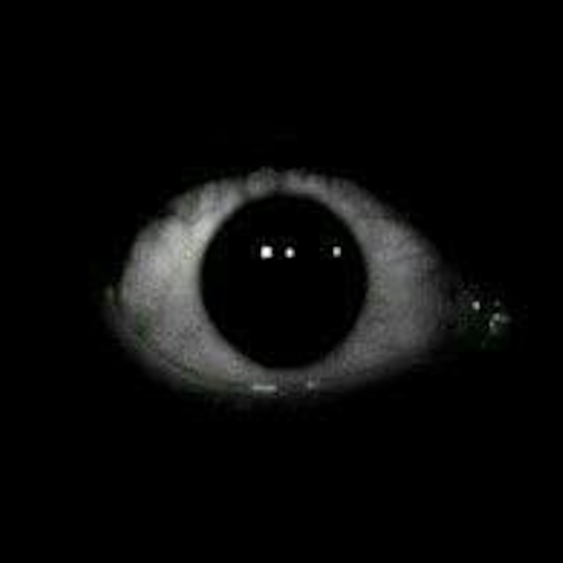 An anthropromorphic catrat (cat and rat hybrid) with a triangle nose and ears with a red outline, cropped to be just the head. Each ear has 4 stripes inside of another triangle. It is wearing a collar, and has a swirl on their shirt.